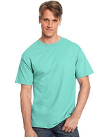 Hanes 6.1 oz. Tagless® T-Shirt