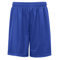 BDGER YTH MINI MESH SHORT
