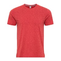 PRG ADT HEATHERED S/S T