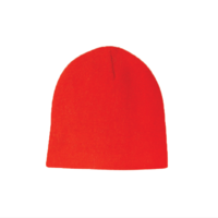 PVT LB BEANIE CAP