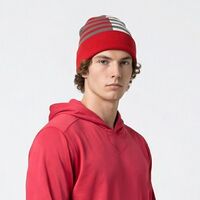 Pennant Super-Stripe Beanie