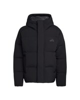 Men's Helonic Down Puffer Hooded Jacket