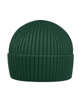 Watch Ribbed Beanie
