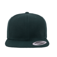 YPNG 6-PNL SNAP-BCK CAP