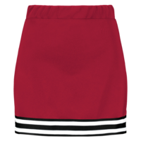 Girls Cheer Squad Skirt
